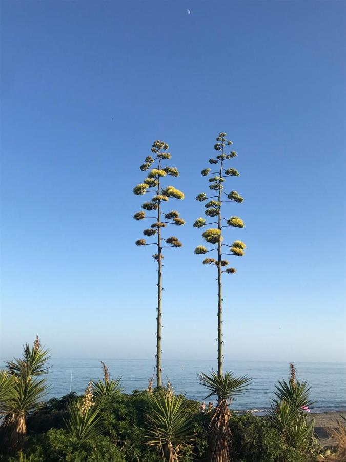 Marbella - Estepona Beach Frontline Apartment エクステリア 写真